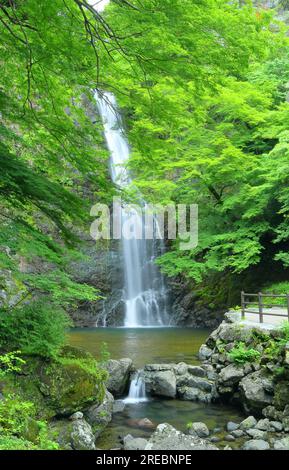 Minoh Falls in early summer Stock Photo