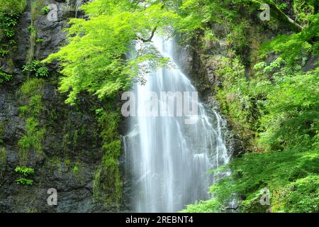 Minoh Falls in early summer Stock Photo