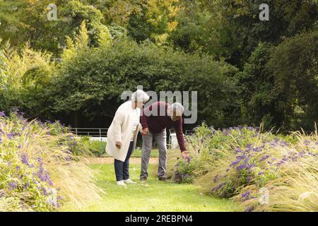Happy senior biracial couple holding hands and looking at flowers in garden at home Stock Photo
