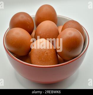 Fresh eggs in a round red and white bowl photographed against a white background under studio lights. Stock Photo