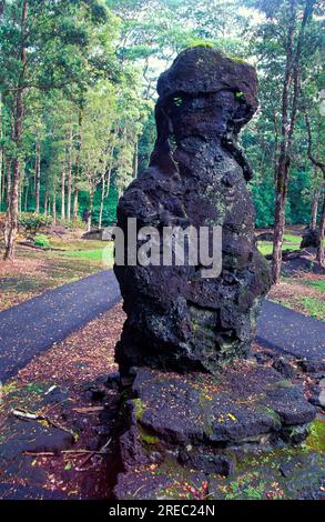 Lava Tree State Park: 12 foot oha tree molds left by 1790 Mauna Loa ...