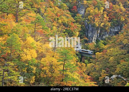 Naruko Gorge Stock Photo