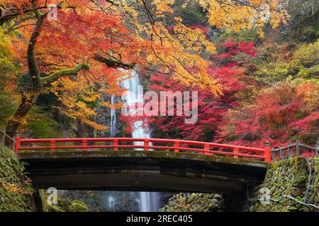 Takimi Bridge Stock Photo