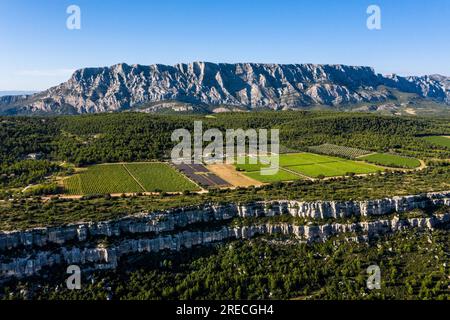 Saint Antonin de Bayon (south eastern France): vines of the wine growing estate “Domaine des Masques”, on the Cengle Plateau, at the bottom of the Sai Stock Photo