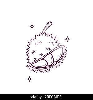 Hand Drawn Durian. Doodle Vector Sketch Illustration Stock Vector