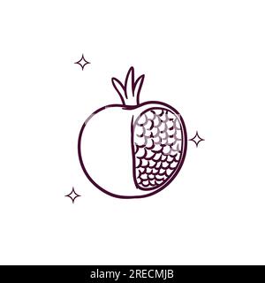 Hand Drawn Pomegranate. Doodle Vector Sketch Illustration Stock Vector