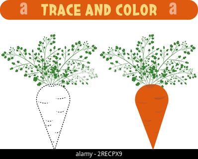 Premium Vector | Educational worksheet for kids step by step drawing  illustration carrot vegetable activity page for preschool education