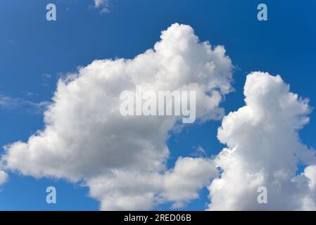 Cumulus cloud formation against a blue sky, UK Stock Photo