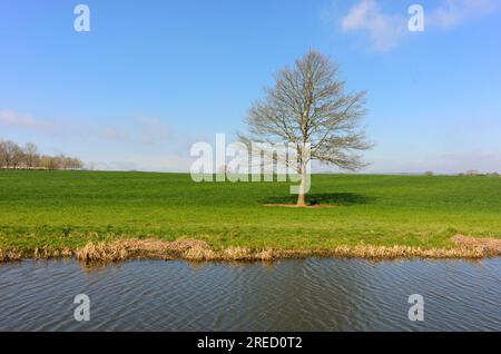 Taunton Bridgwater Canal Stock Photo