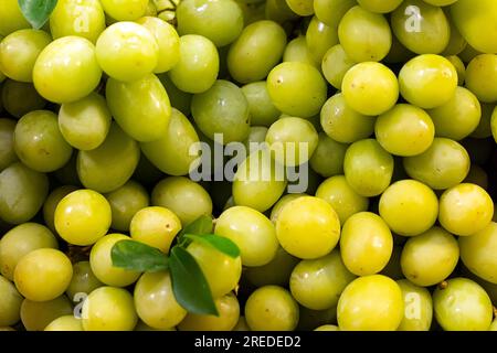 Fresh Fruit Brunch Green Grapes on Shelf in Fresh Fruit market. Bunch of green fresh ripe juicy grapes as background, closeup. Stock Photo
