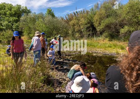 AMEIXIAL, PORTUGAL - 29th April 2023: Students and adults learning and discovering environmental training on the fauna and flora of the location. Stock Photo