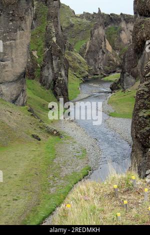 Fjaora River in Fjaorargljufur canyon Iceland Stock Photo