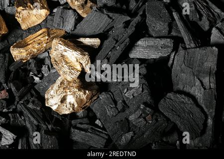 Golden nuggets on black charcoal Stock Photo