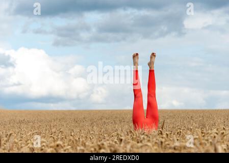 woman wearing orange leggings doing a headstand in a wheat field Stock Photo
