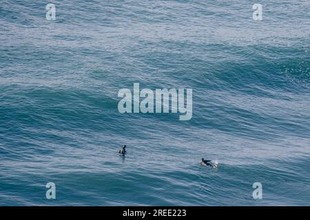 Surfers on a sunny day in Portugal Stock Photo