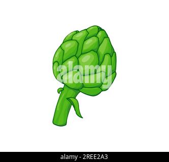 Artichoke fresh natural vegetable, hand-drawn vector illustration. Isolated on white background Stock Vector