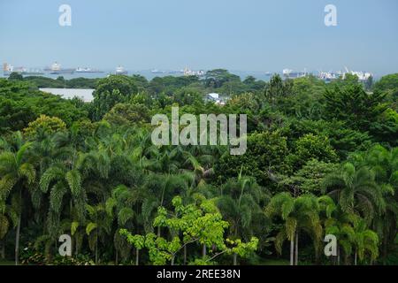 View of shipping in the Strait of Malacca from the Gardens by the Bay in Singapore Stock Photo