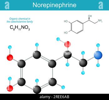 Norepinephrine molecule. molecular chemical structural formula and model of noradrenaline. Hormone of stress, danger, or fight-or-flight response Stock Vector