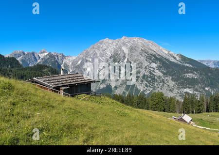 Alpine huts of the Priesbergalm in front of the Watzmann in the Berchtesgaden National Park, Bavaria, Germany Stock Photo