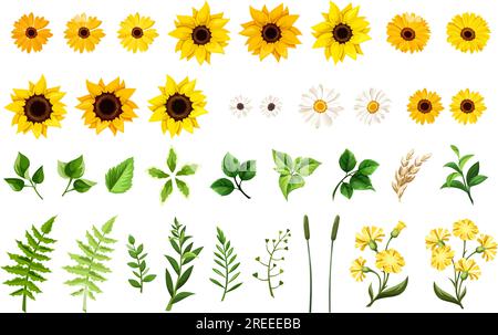Set of yellow and orange sunflowers, white daisy flowers, dandelion flowers, gerbera flowers, and green leaves and grasses isolated on a white backgro Stock Vector