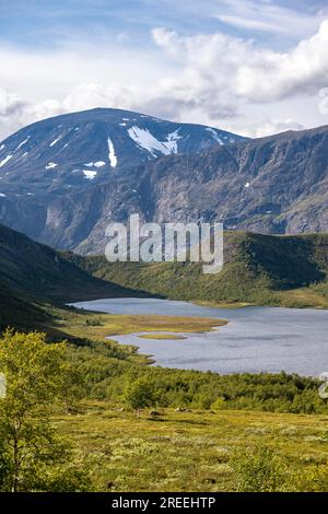 Barren mountain landscape with lake and birch trees, lake Leirungen nedre, Fjell, Oystre Slidre, Jotunheimen National Park, Norway Stock Photo