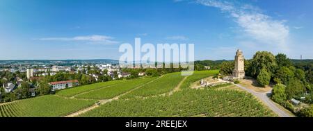 Aerial panorama of the Bismarck Tower on the Raiteberg in the northern part of the city of Constance, viticulture at Lake Constance, Constance Stock Photo