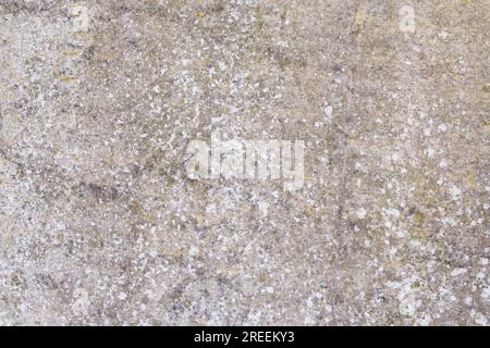 Old grungy plastered wall for backgrounds Stock Photo