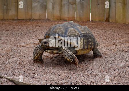 Crealy Theme Park & Resort Stock Photo