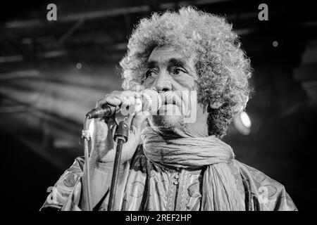 Ibrahim Ag Alhabib performing some live desert blues with the Tuareg band Tinariwen (Stockholm 2023) Stock Photo