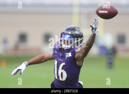 Owings Mills, MD, USA. 27th July, 2023. Baltimore Ravens WR Tarik