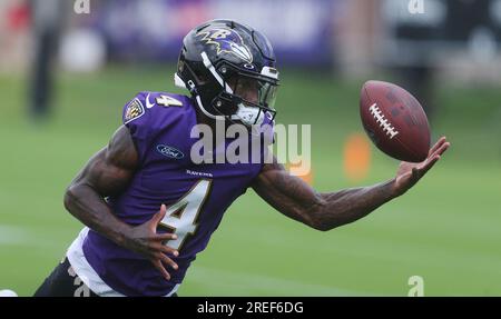 July 27, 2023: Baltimore Ravens WR Tarik Black (81) participates in  training camp at Under Armour Performance Center in Owings Mills, MD.  Photo/ Mike Buscher / Cal Sport Media (Credit Image: ©