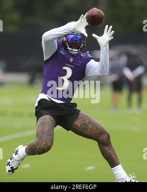 July 27, 2023: Baltimore Ravens WR Sean Ryan (82) participates in training  camp at Under Armour Performance Center in Owings Mills, MD. Photo/ Mike  Buscher / Cal Sport Media (Credit Image: ©