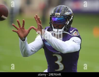 July 27, 2023: Baltimore Ravens WR Sean Ryan (82) participates in training  camp at Under Armour Performance Center in Owings Mills, MD. Photo/ Mike  Buscher / Cal Sport Media (Credit Image: ©