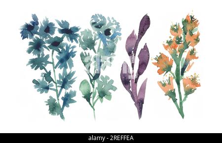 Watercolor flowers. Hand painted abstract botanical illustrations bundle. On a white background. Stock Photo