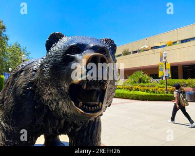 The UCLA Bruin bear statue Stock Photo