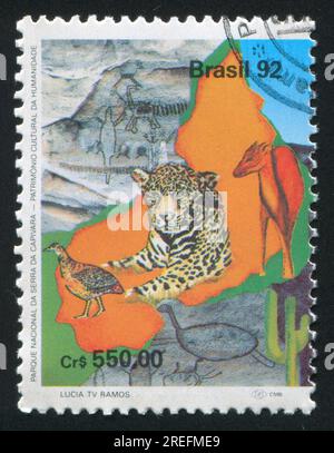 BRAZIL - CIRCA 1992: stamp printed by Brazil, shows  leopard, circa 1992 Stock Photo