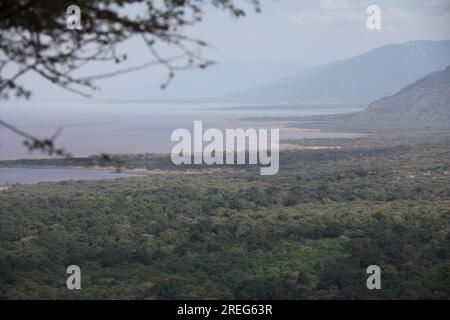 Lake Manyara View point Stock Photo