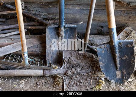 Farm tools leaning against a wall in a barn. Stock Photo
