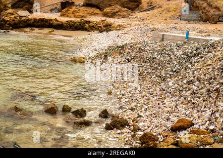 Oyster waste at the edge of a beach in Dakhla Stock Photo