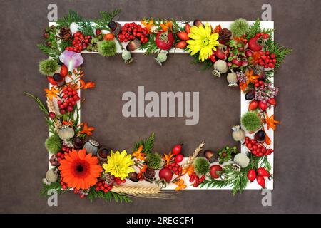 Autumn Fall Samhain harvest festival nature background border concept with flowers, leaves, berry fruit, nuts with white frame on brown lokta paper. T Stock Photo