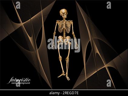 Abstract futuristic background with skeleton image. Vector 3d ...