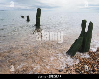 Sheerness, Kent, UK. 28th July, 2023. UK Weather: an overcast sky with some sunny spells in Sheerness, Kent. Pic: very clear water this morning. Credit: James Bell/Alamy Live News Stock Photo