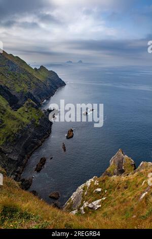 View towards the Skelligs from Portmagee Skelligs cliff viewpoint, County Kerry, Ireland. Stock Photo