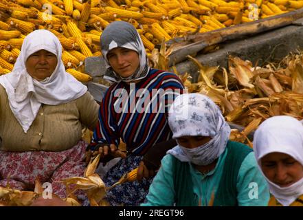 Edirne Turkey Women Shredding Corn Stock Photo