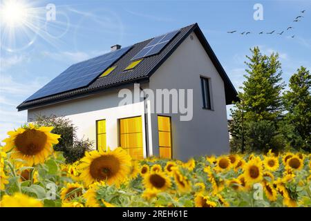 A modern residential house equipped with solar panels on the roof, set against a backdrop of a vibrant sunflower field. This image represents the conc Stock Photo