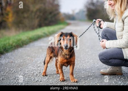 Dog walking. Happy smiling woman with her mixed breed dog outdoors Stock Photo
