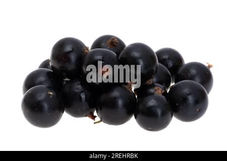 blackcurrant isolated on white background Stock Photo