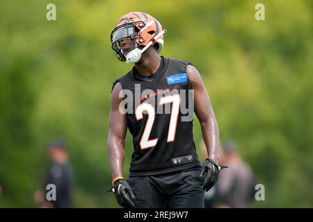 Cincinnati Bengals safety Jordan Battle (27) enters the training