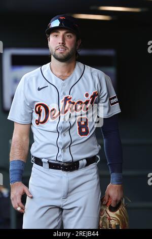 Lakeland FL USA; Detroit Tigers center fielder Matt Vierling (8) is  congratulated in the dugout after homering during an MLB spring training  game agai Stock Photo - Alamy