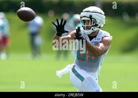 Miami Dolphins tight end Julian Hill (89) catches a pass during